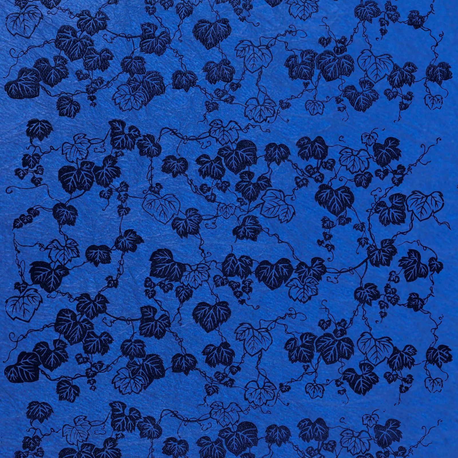 商品画像 1