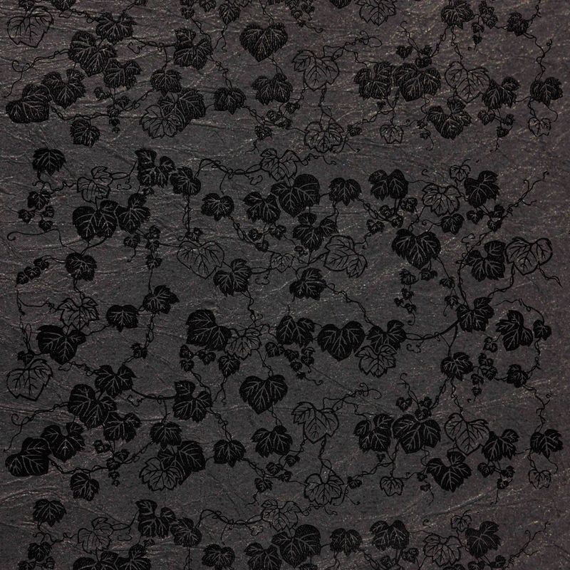 陰日向蔦（Ivy Plants Shade and Light）