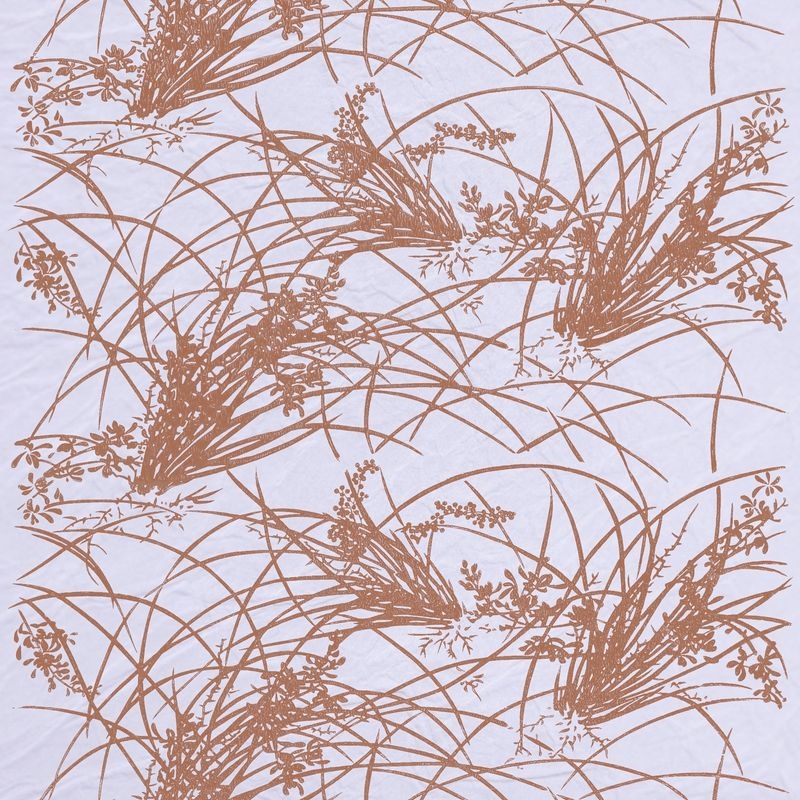 蘭（Orchid）