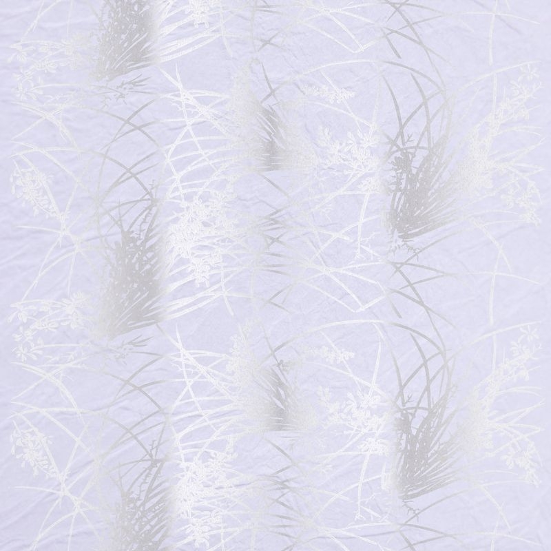 蘭（Orchid）