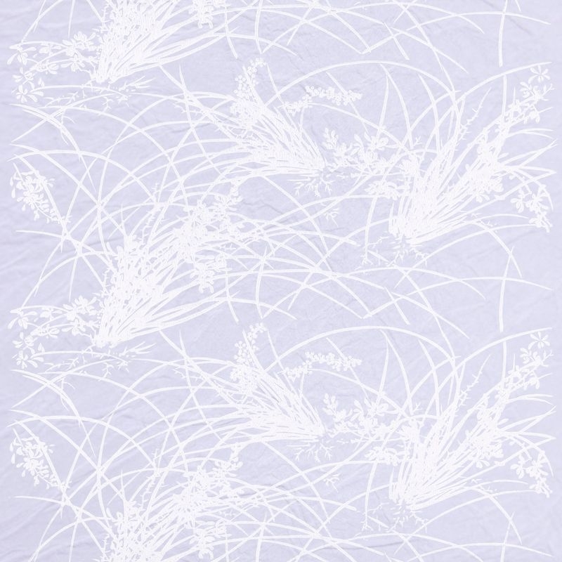 蘭（Orchid）