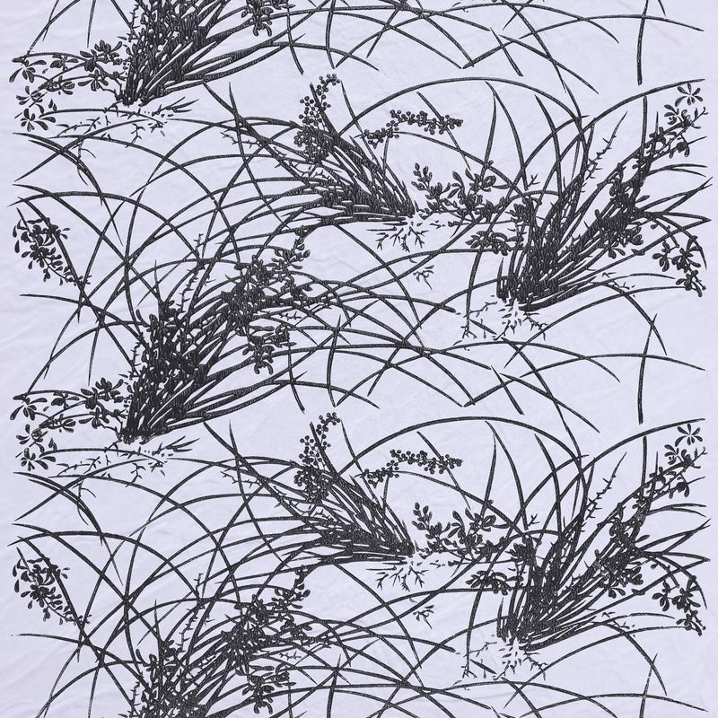 蘭（Orchid）