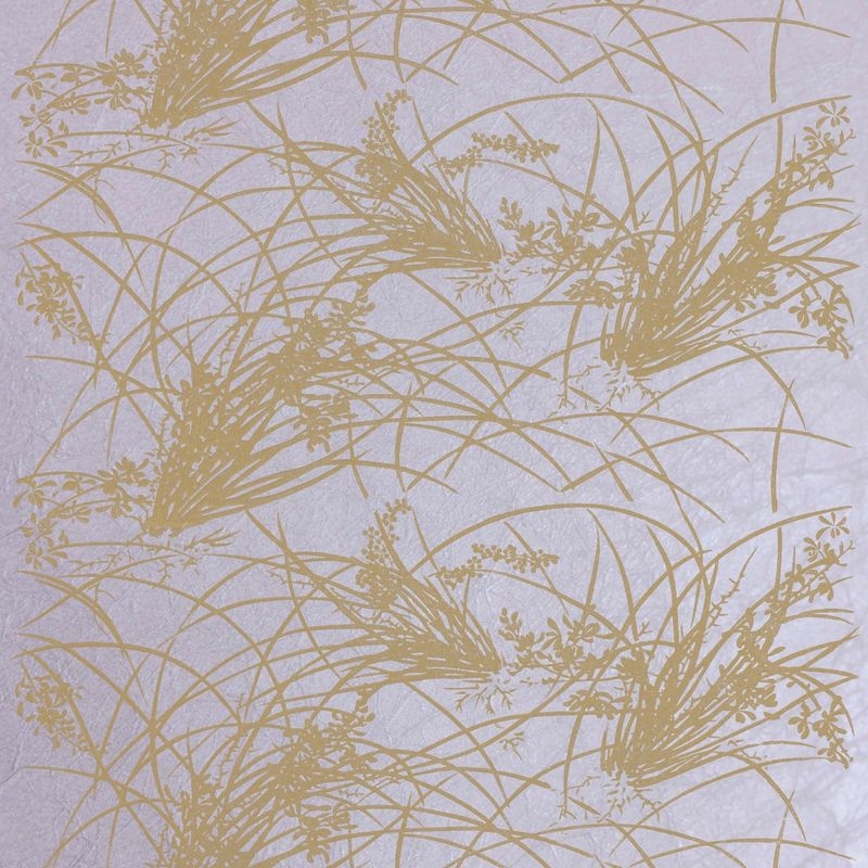 蘭（Orchid）