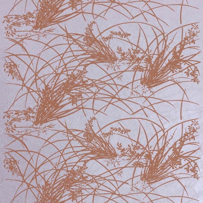蘭（Orchid）
