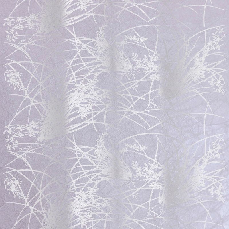 蘭（Orchid）