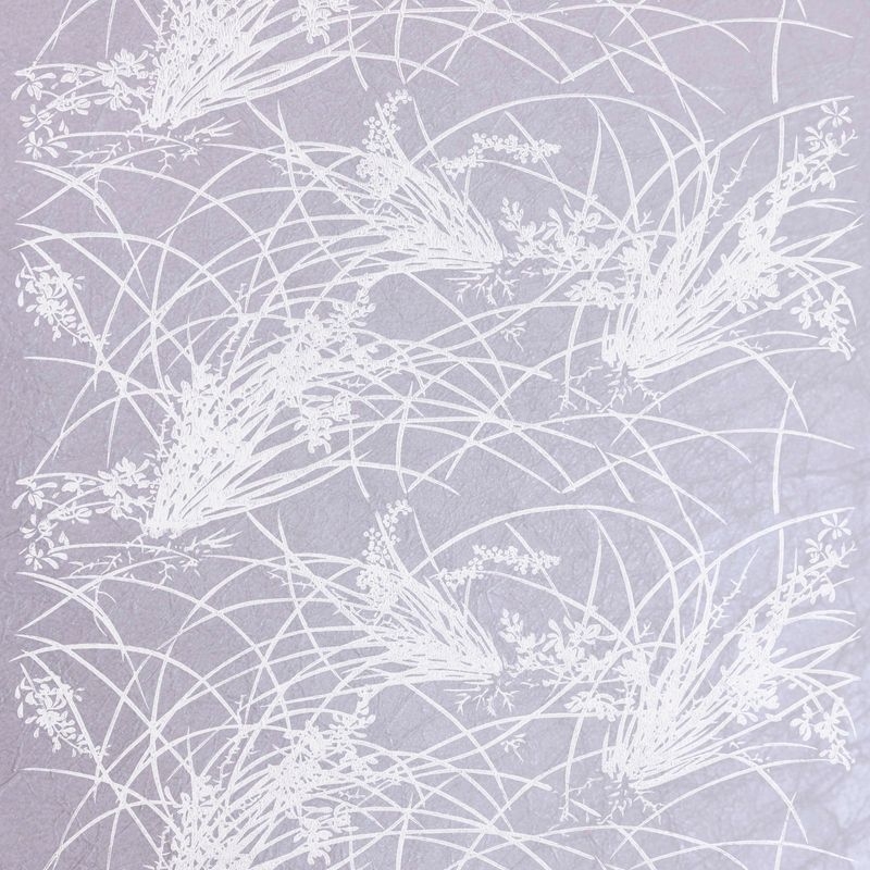 蘭（Orchid）