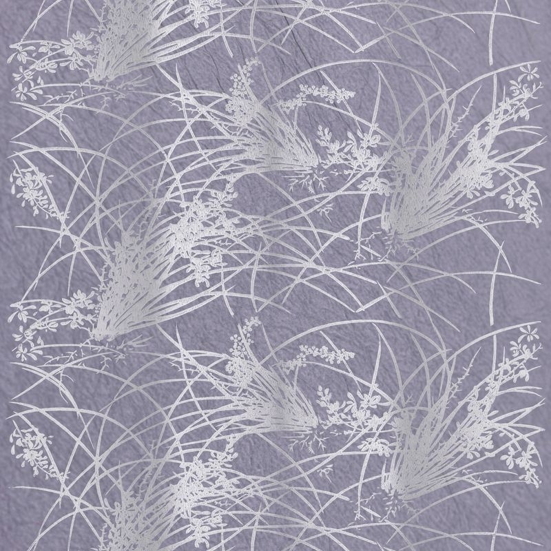 蘭（Orchid）