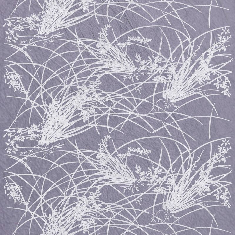 蘭（Orchid）