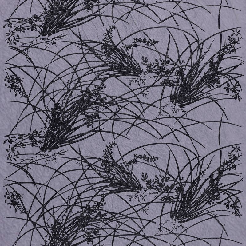 蘭（Orchid）