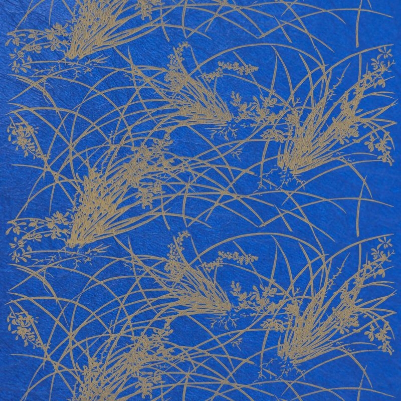 蘭（Orchid）