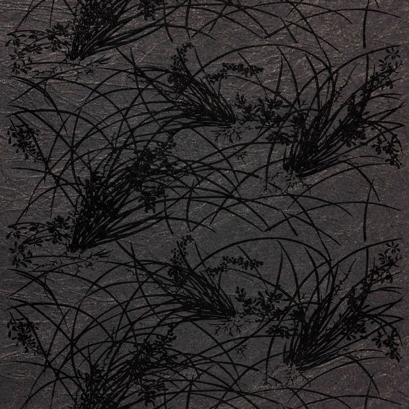 蘭（Orchid）
