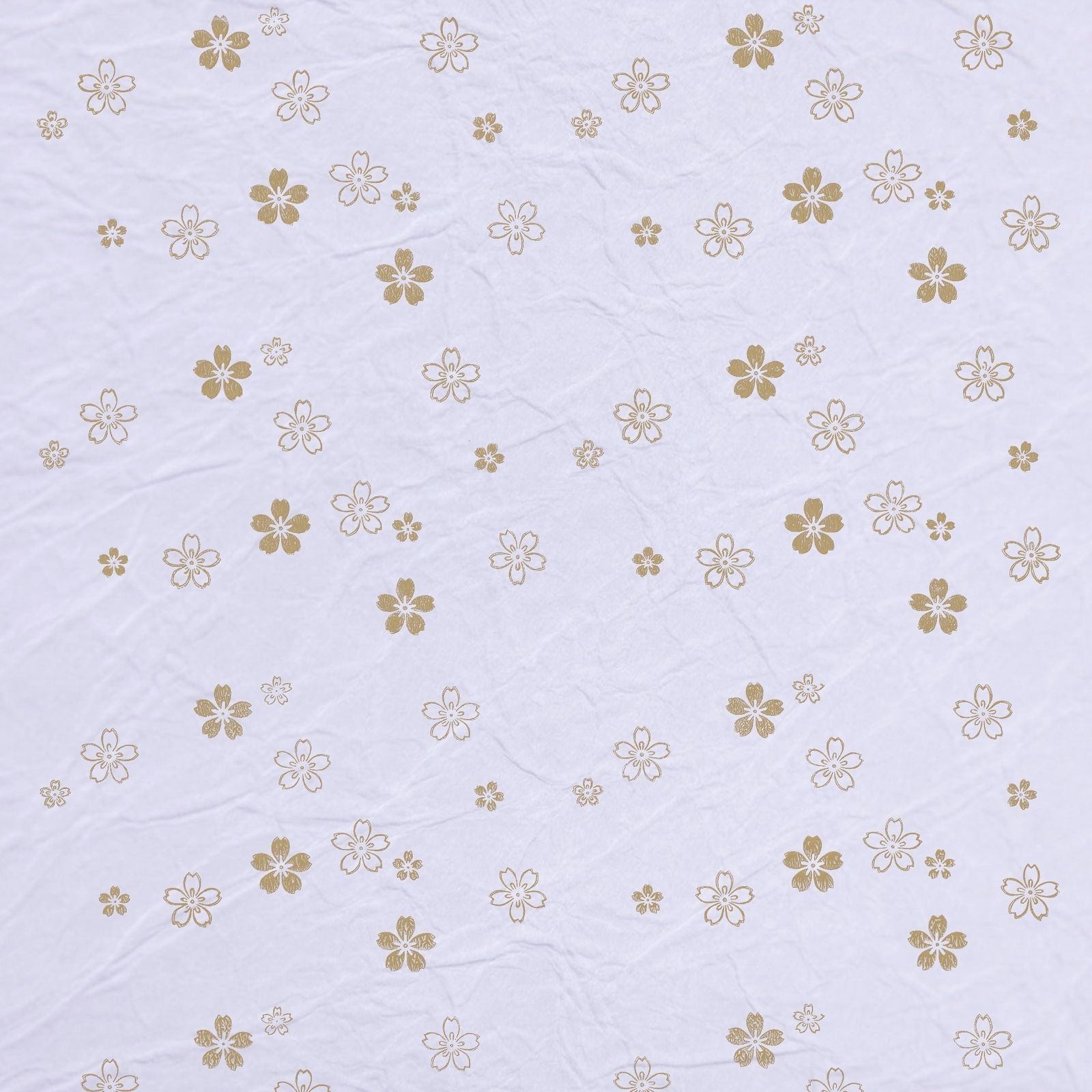 陰日向桜(Cherry Blossoms Shade and Light)