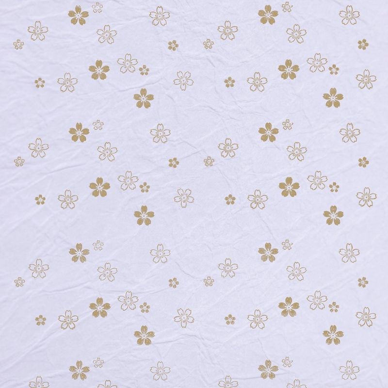 陰日向桜（Cherry Blossoms Shade and Light）