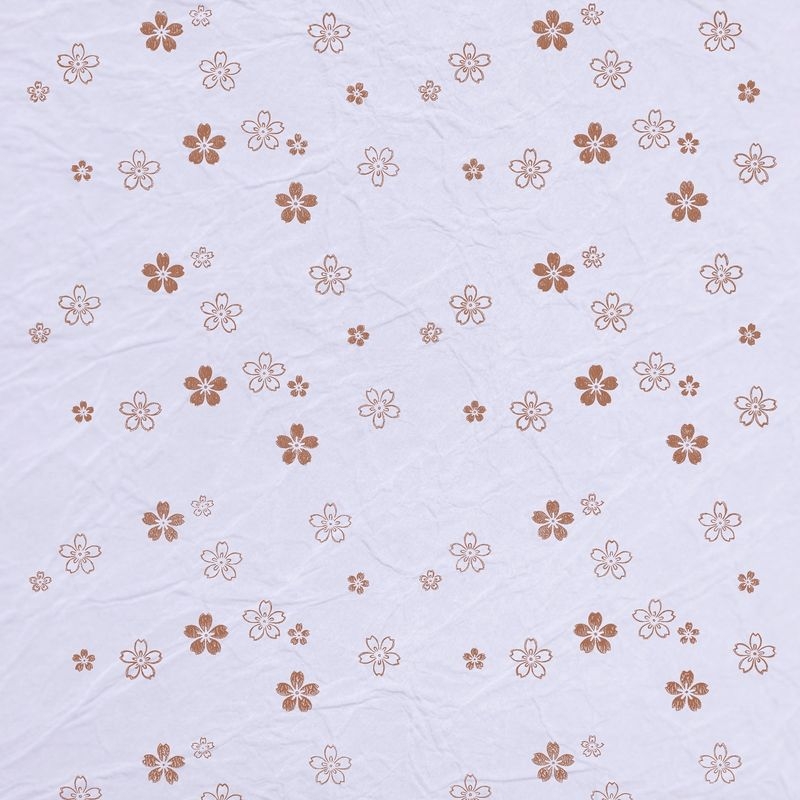 陰日向桜（Cherry Blossoms Shade and Light）