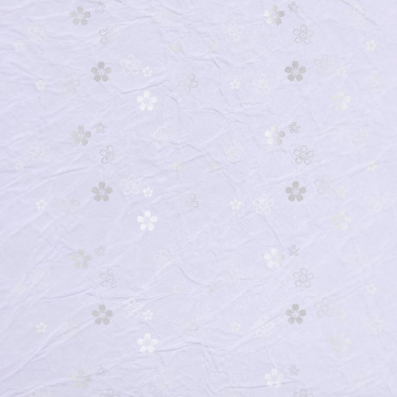 陰日向桜（Cherry Blossoms Shade and Light）
