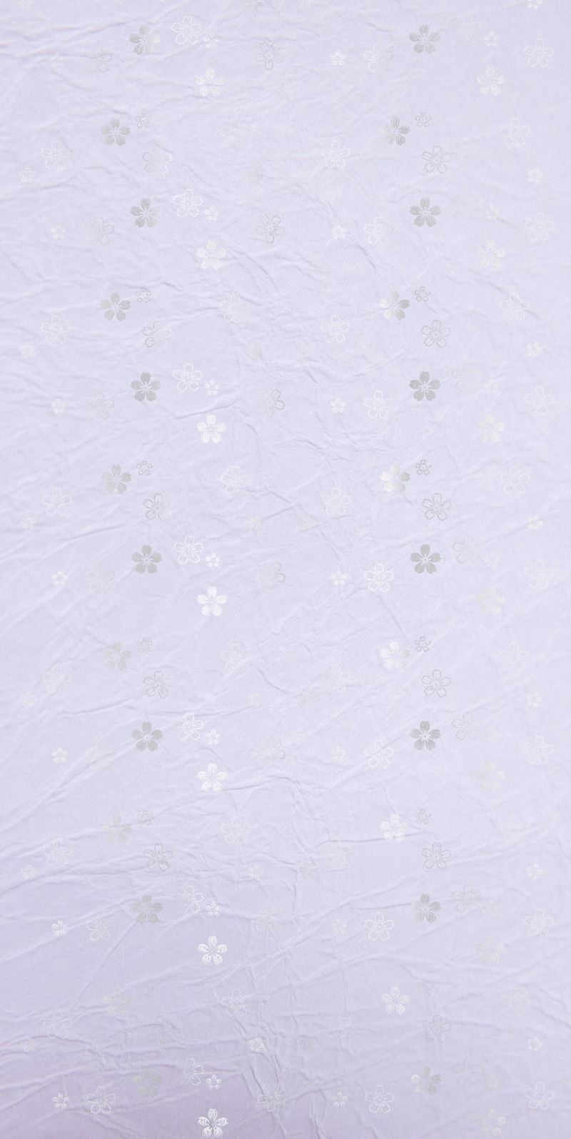 サムネイル 2