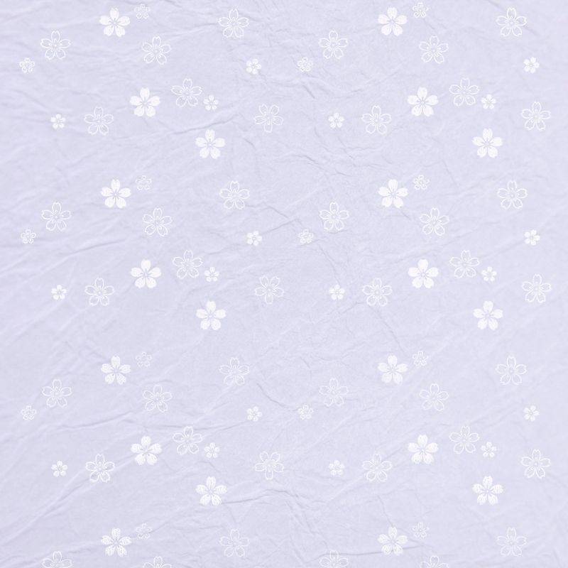 陰日向桜（Cherry Blossoms Shade and Light）