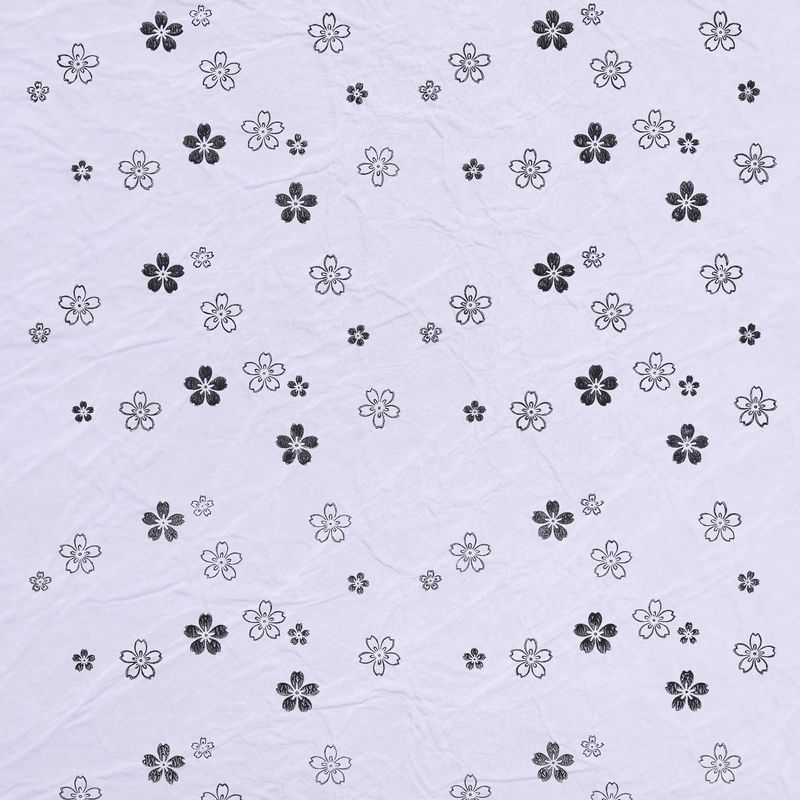 陰日向桜（Cherry Blossoms Shade and Light）