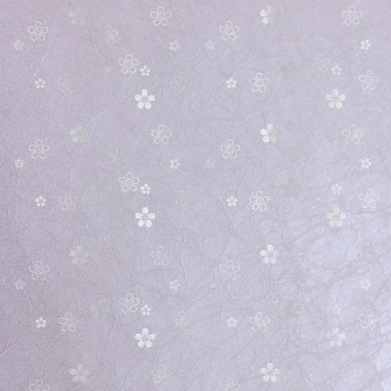 陰日向桜（Cherry Blossoms Shade and Light）