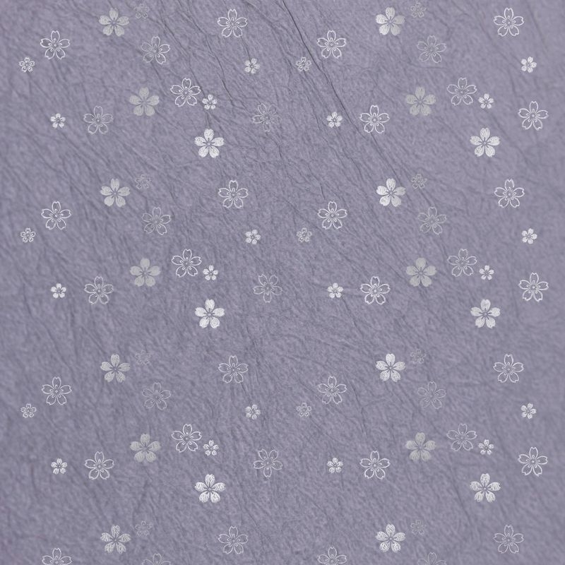 陰日向桜（Cherry Blossoms Shade and Light）