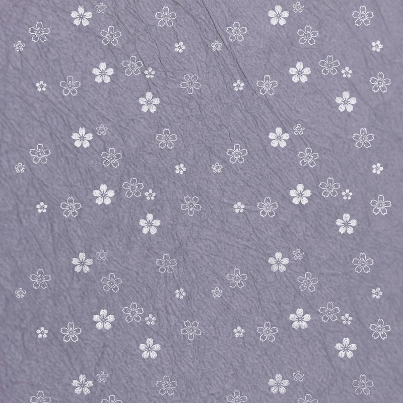 陰日向桜（Cherry Blossoms Shade and Light）
