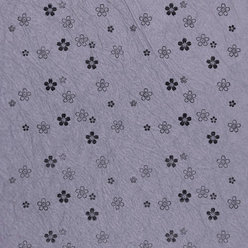 陰日向桜（Cherry Blossoms Shade and Light）