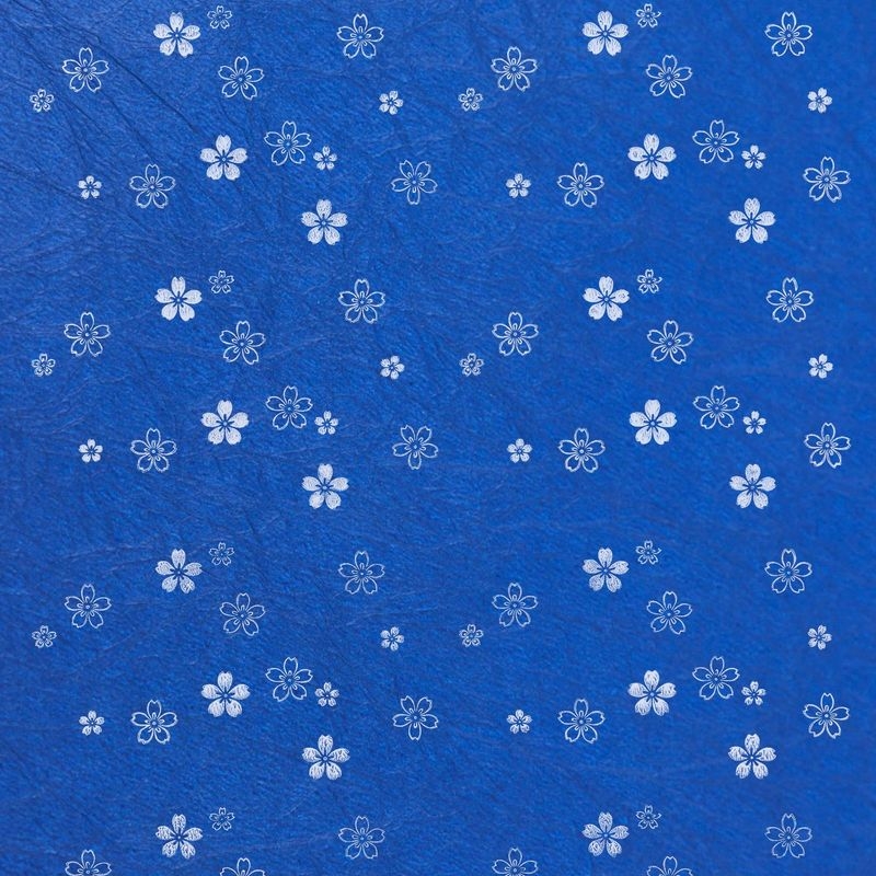 陰日向桜（Cherry Blossoms Shade and Light）