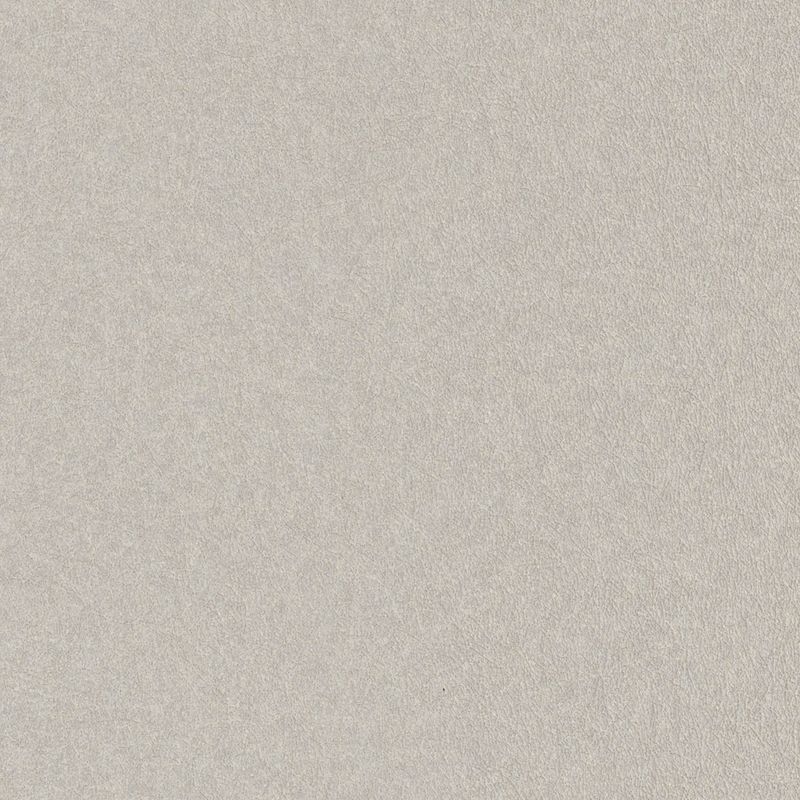 フリース壁紙/- 