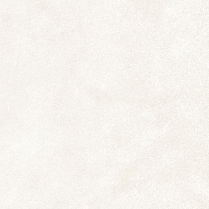 スーパー強化＋汚れ防止（ペット対応）/- 