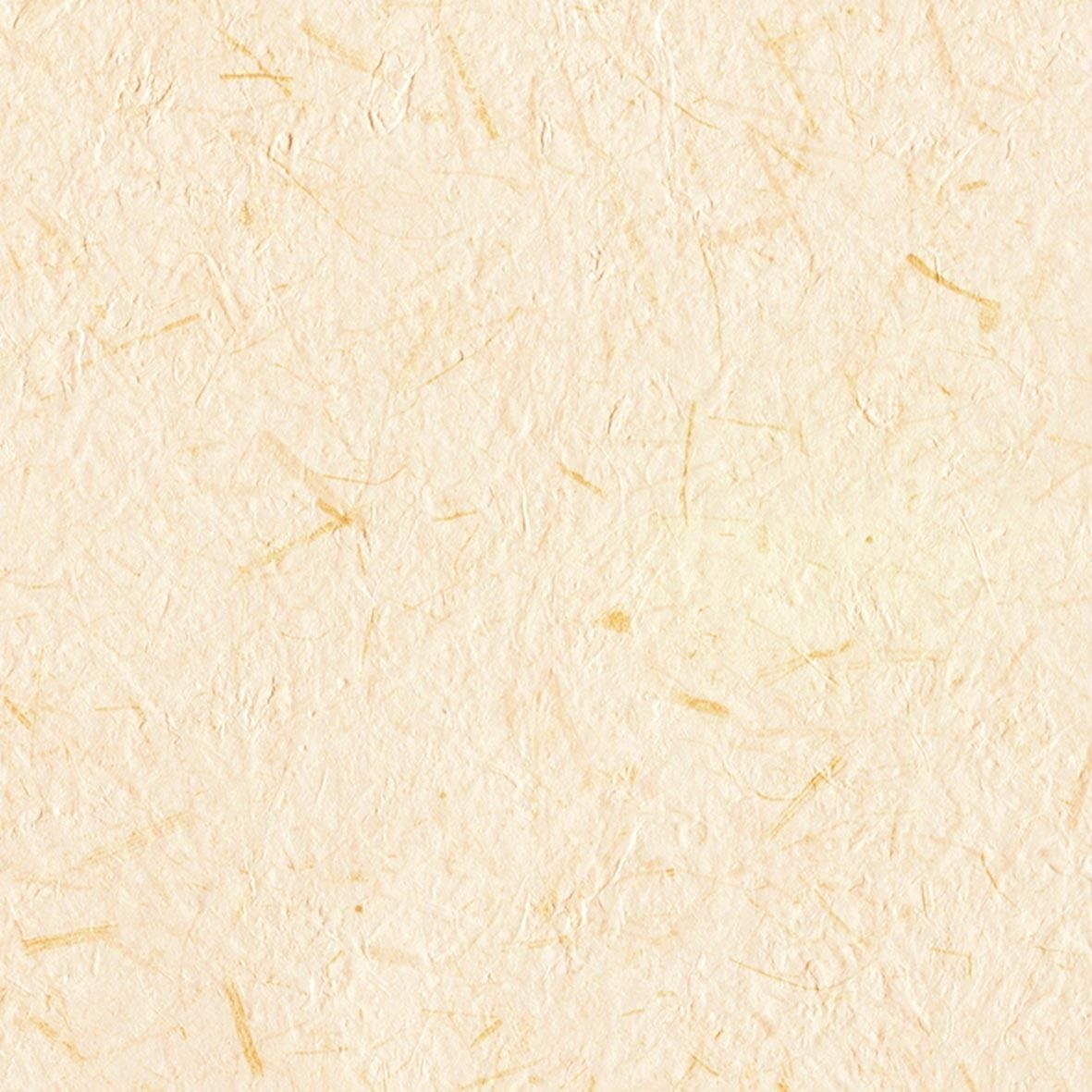 商品画像 1