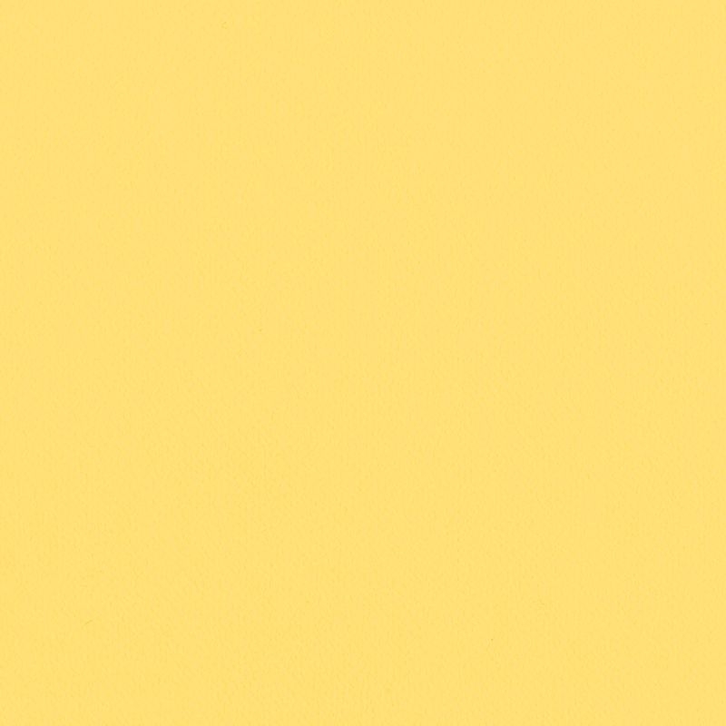 Lilycolor British Colours/Dandelion ダンデライオン