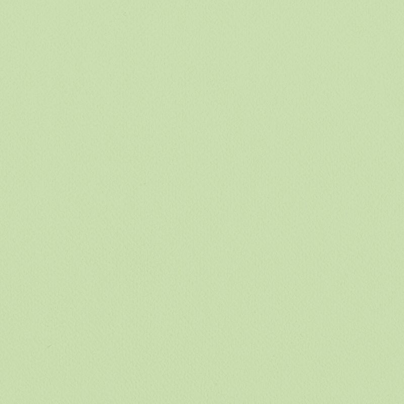 Lilycolor British Colours/Gooseberry  グーズベリー