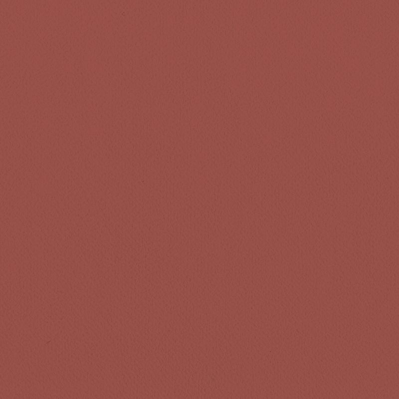 Lilycolor British Colours/Raspberry ラズベリー