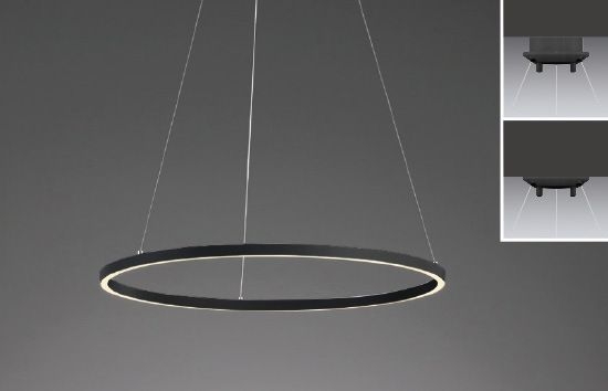 リング形ペンダントライト/無線制御タイプ/非調光タイプ,アルミ（黒艶消）,樹脂(ポリカーボネート乳白)