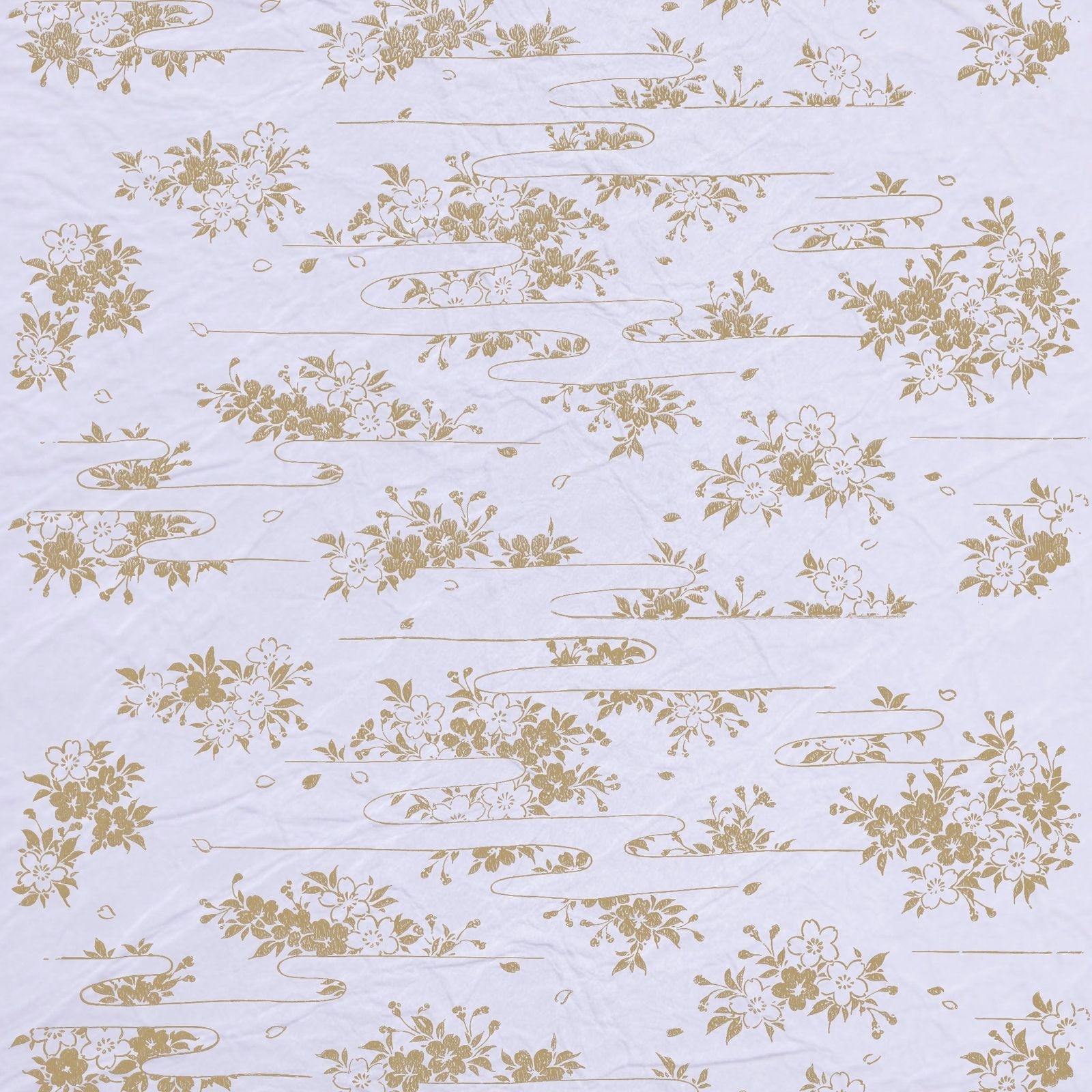 曙桜(Cherry Blossoms in Dawn)