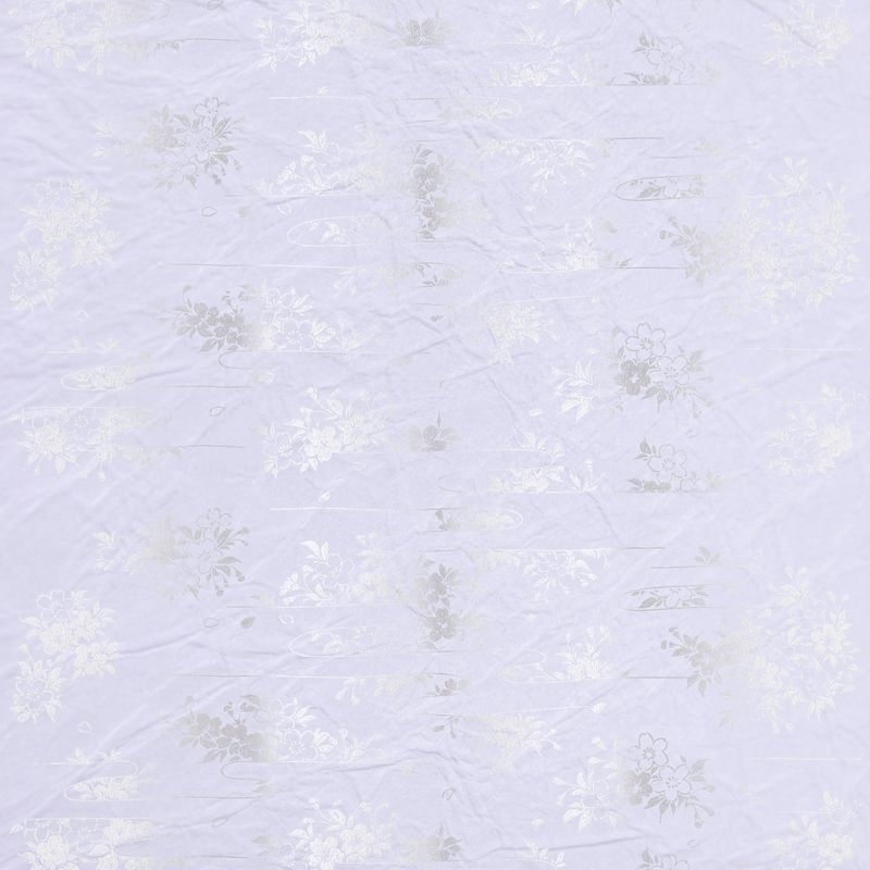 曙桜（Cherry Blossoms in Dawn）
