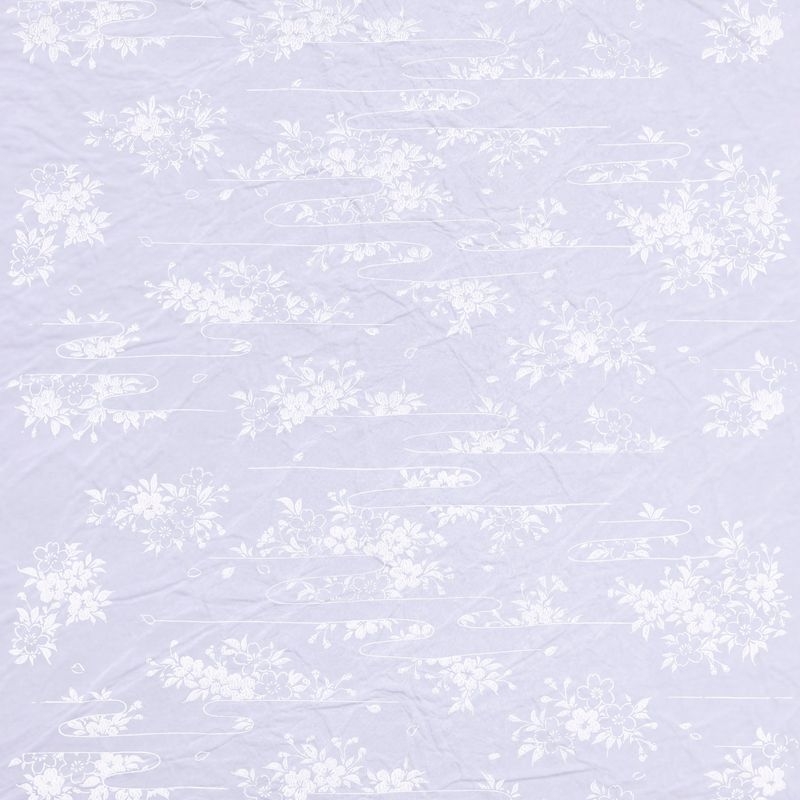 曙桜（Cherry Blossoms in Dawn）
