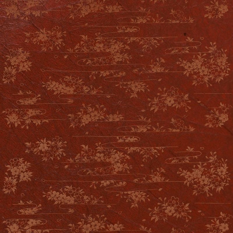曙桜（Cherry Blossoms in Dawn）