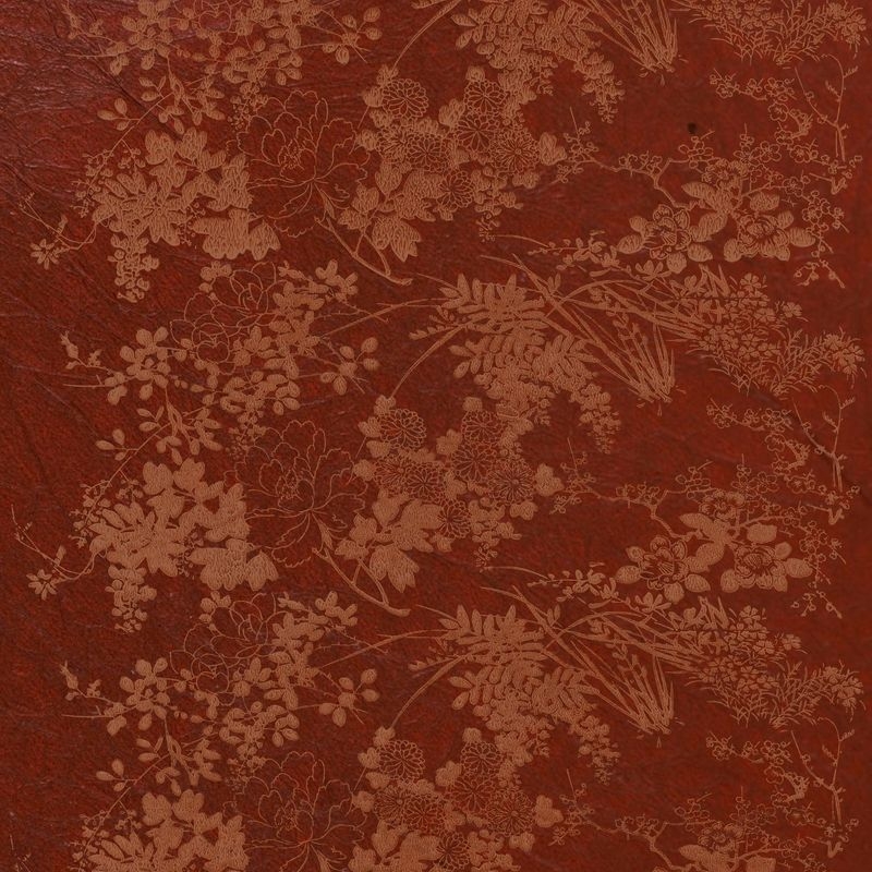 牡丹百花（Bloom Peony and Flowers）
