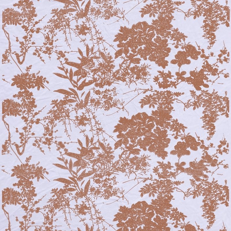 百合百花（Bloom Lily and Flowers）