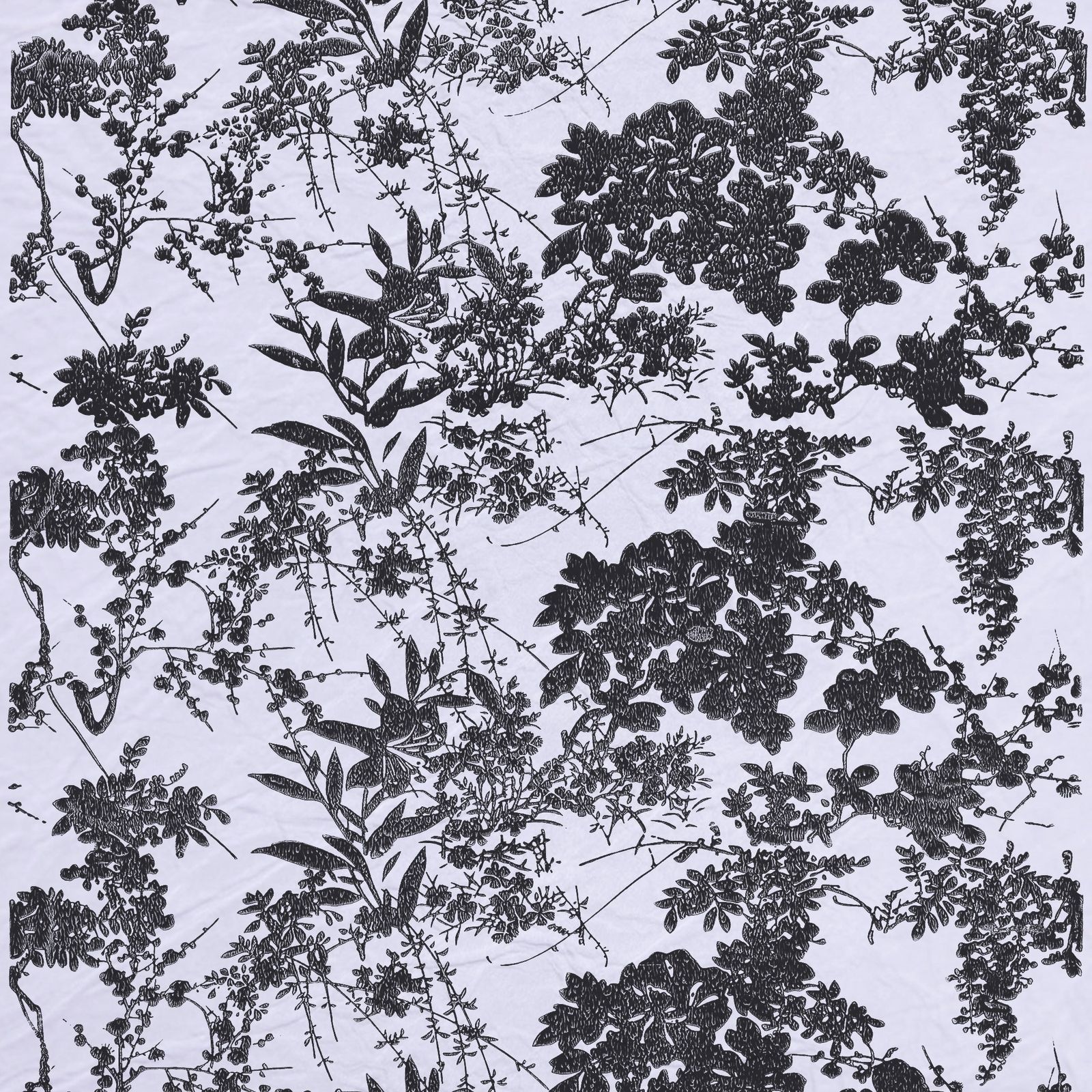 商品画像 1
