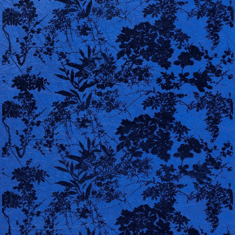 百合百花（Bloom Lily and Flowers）