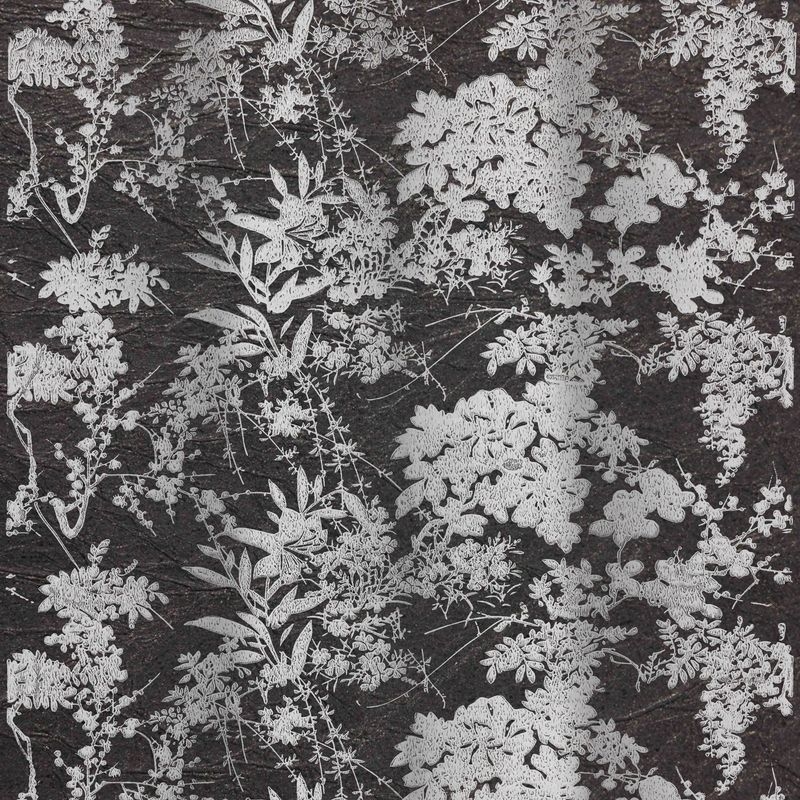 百合百花（Bloom Lily and Flowers）