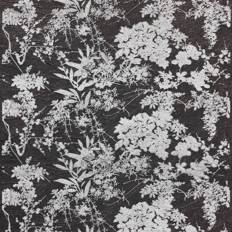 百合百花（Bloom Lily and Flowers）