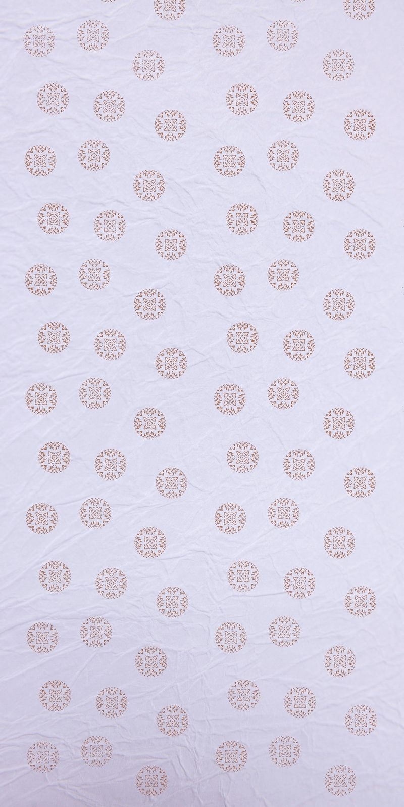 サムネイル 2