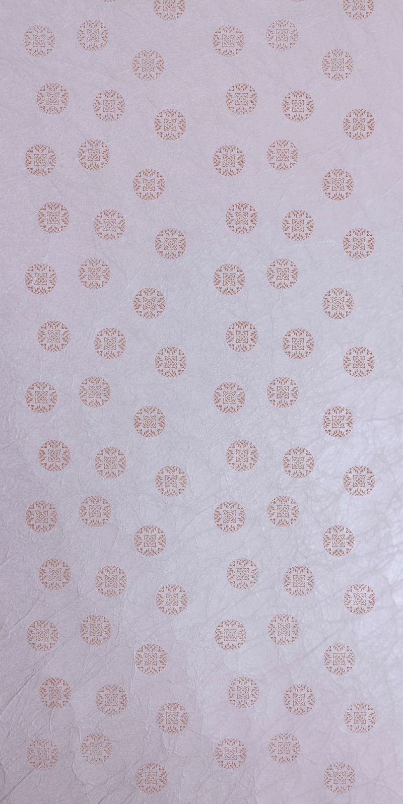 サムネイル 2