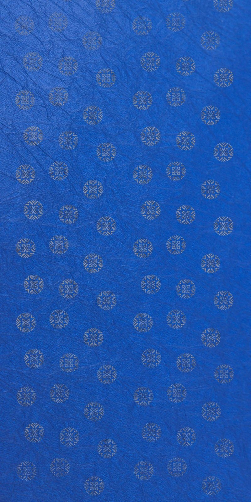 サムネイル 2