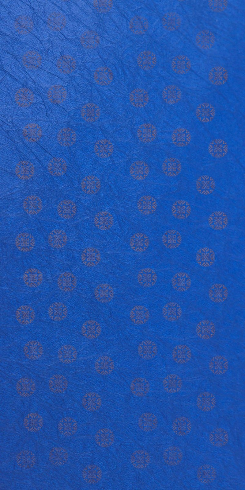 サムネイル 2