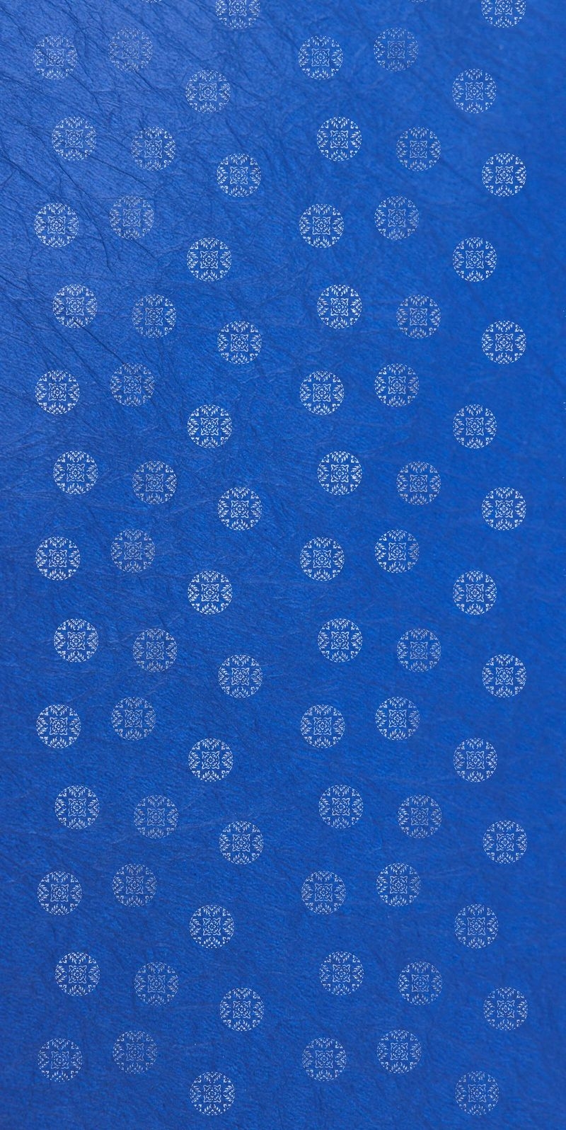 サムネイル 2