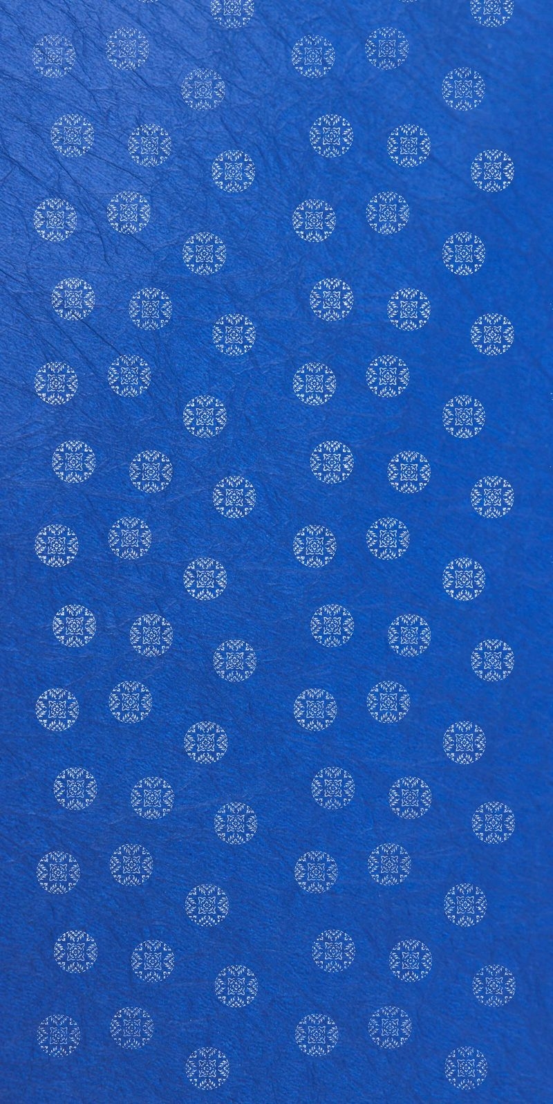 サムネイル 2